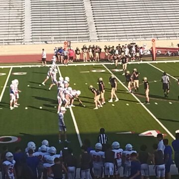 Birdville game
